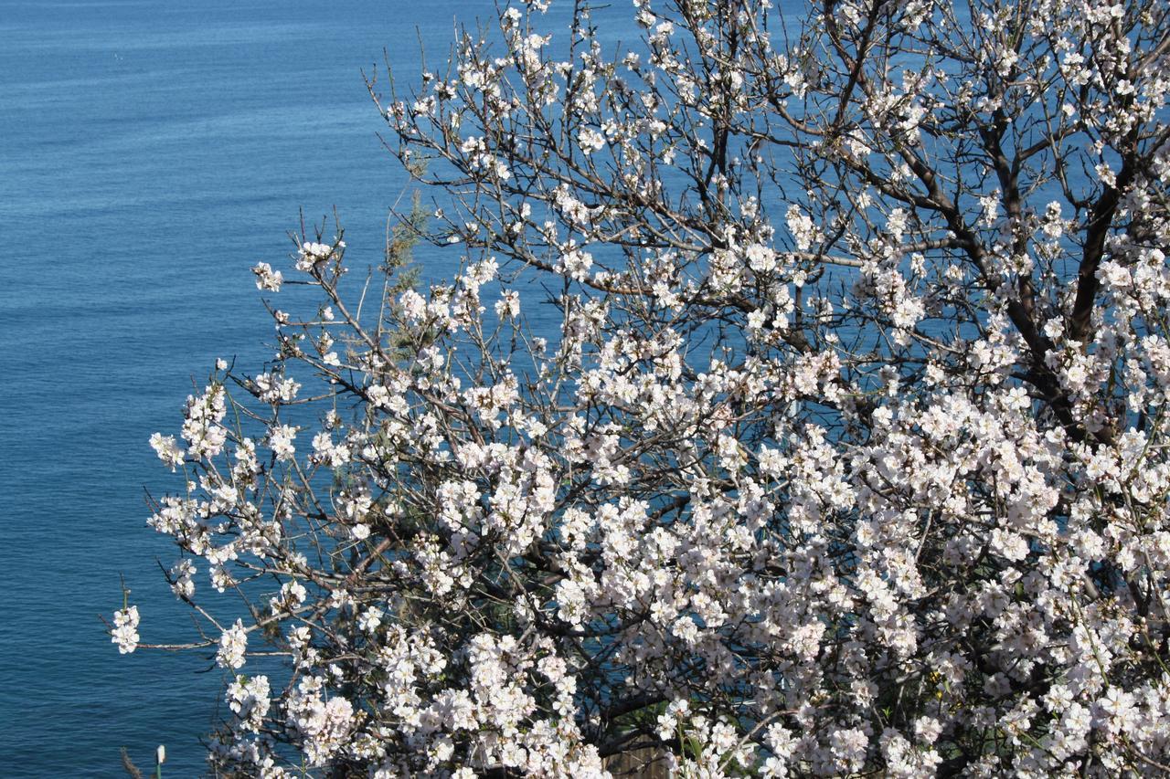 Camere & Case Vacanze Lo Scoglio Castel di Tusa Dış mekan fotoğraf